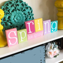 Load image into Gallery viewer, Spring Has Sprung Sign
